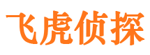 德昌市侦探调查公司